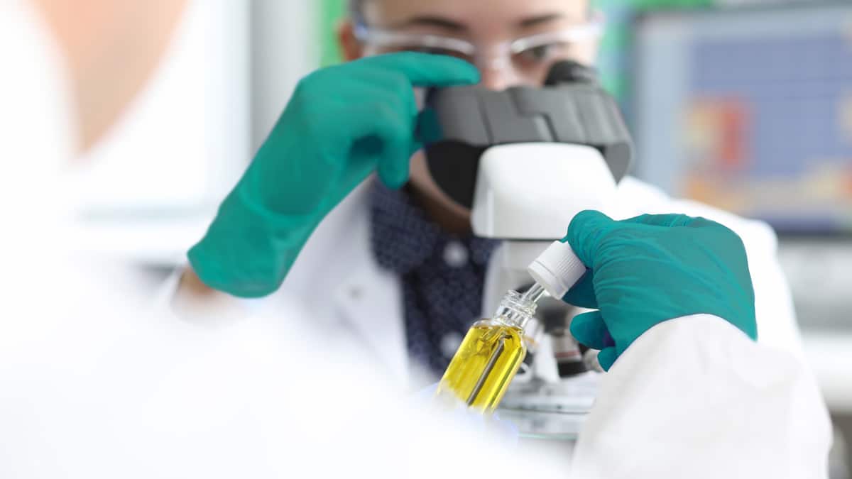 Laborkontrolle Laborkontrolle