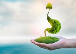 ROLECA_natuerlich_wirksam ROLECA natuerlich wirksam