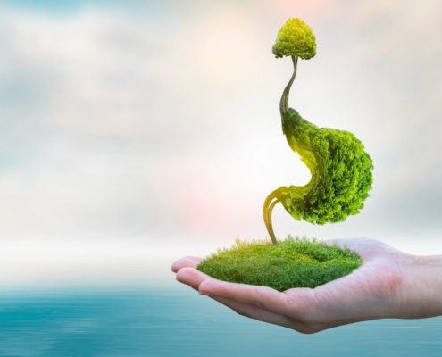 ROLECA_natuerlich_wirksam ROLECA natuerlich wirksam