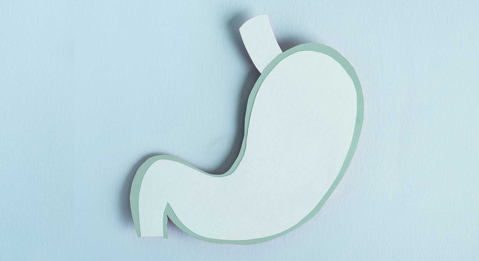 roleca-magen-alles-gut magen-in-ordnung