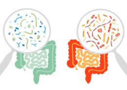 roleca_biom_good_bad roleca mikrobiom gut schlecht