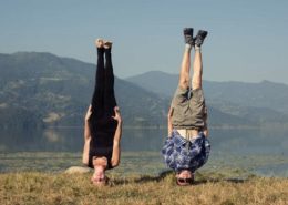 roleca_dysbalance roleca dysbalance