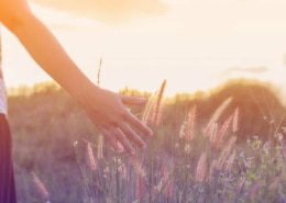 roleca_handundgras roleca hand und gras