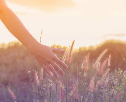 roleca_handundgras roleca hand und gras