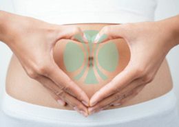 roleca_herz roleca herz