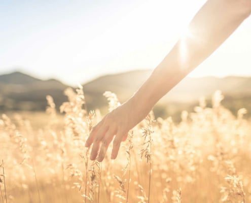 roleca_zufrieden roleca zufrieden kornfeld